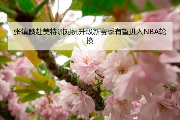 张镇麟赴美特训对抗升级新赛季有望进入NBA轮换