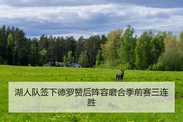 hu-ren-dui-qian-xia-de-luo-zan-hou-zhen-rong-mo-he-ji-qian-sai-san-lian-sheng-2-502.jpg